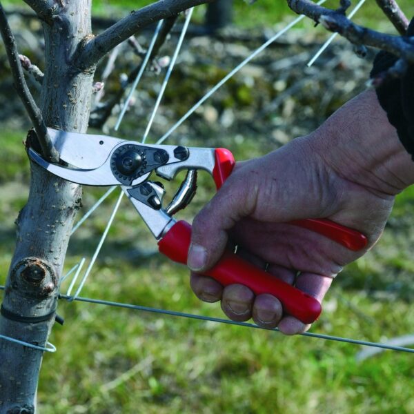 Felco 7 (Felco F-7 Gardening Hand Pruner with Rotating Handle) - Image 3