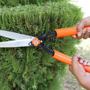 Falcon Premium Hedge Shear Fhs-999(P)