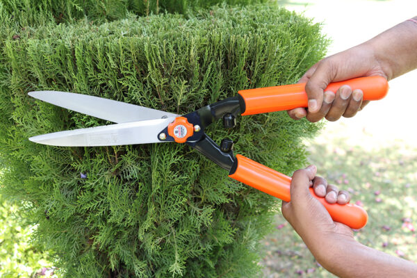 Falcon Premium Hedge Shear Fhs-999(P)