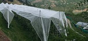 Anti Hail Net (Knitted)